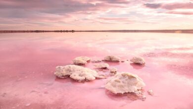 Torrevieja gölü: İspanya'nın pembe gölü 9 İspanya'daki pembe göl: Torrevieja Gölü