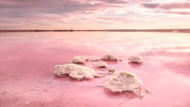 İspanya'daki pembe göl: Torrevieja Gölü