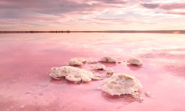 İspanya'daki pembe göl: Torrevieja Gölü