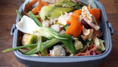 Acı gerçek! Dünyada israf edilen gıdalar, yetersiz beslenen insanların 2 katından fazlası