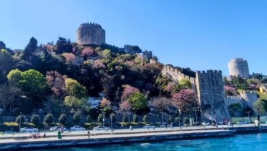 Doğanın İstanbul'a Hediyesi; Erguvan Ağacı!