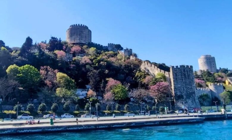 Doğanın İstanbul'a Hediyesi; Erguvan Ağacı! 1 Doğanın İstanbul'a Hediyesi; Erguvan Ağacı!