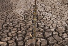 İklim değişikliği tüm dünyayı etkisi altında aldı. Kolombiya'da son bir yılda yetersiz yağışlar sebebiyle kuraklık kapıya dayandı.
