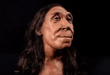 Bilim insanları 75.000 yıl önce yaşamış bir kadının nasıl görüneceğine ilişkin bir çalışma yaptı. Neandertal kadınının ortaya çıkan görüntüsü ilgi çekti.