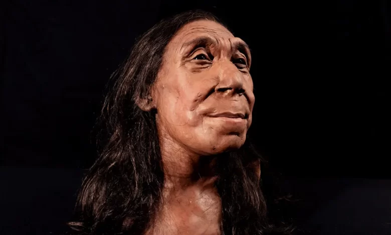 75.000 yaşındaki Neandertal kadının yüzü ortaya çıktı 8 Bilim insanları 75.000 yıl önce yaşamış bir kadının nasıl görüneceğine ilişkin bir çalışma yaptı. Neandertal kadınının ortaya çıkan görüntüsü ilgi çekti.