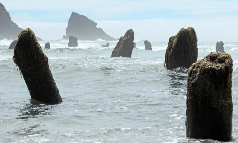 ABD'de yapılan bir bilimsel çalışmaya göre Kuzey Pasifik'te beklenen Cascadia depremi tahmin edilenden daha büyük olacak.