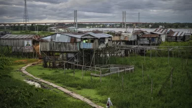 Peru'nun en uzun köprüsünün yolunun hiçbir yere çıkmıyor olması herkesi fazlasıyla şaşırtıyor.