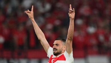 Merih Demiral'a "bozkurt" soruşturması