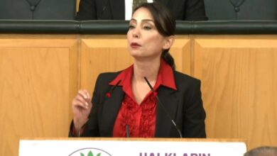 Bahçeli'nin Öcalan çağrısına DEM'den yanıt 12 tulay hatimogullari devlet bahceli