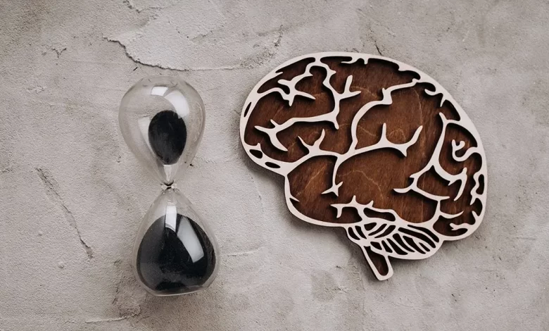 Anılar Sadece Beyinde Saklanmıyor: ABD’deki Araştırmaya Göre Böbrek ve Sinir Hücreleri de Hafızayı Depolayabiliyor 3 Anılar sadece beyinde değil; sinir dokusu ve böbrek hücreleri de hafızayı depolayabiliyor.