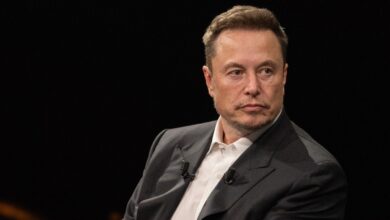 elon muskin afd destegi tepki cekti