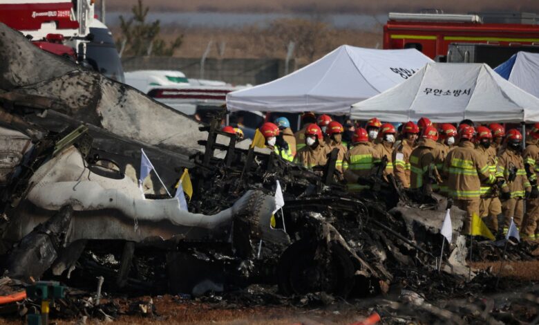 Güney Kore’de Muan Havalimanı’nda yaşanan ve 179 kişinin hayatını kaybettiği uçak kazasının ardından soruşturma derinleşiyor.
