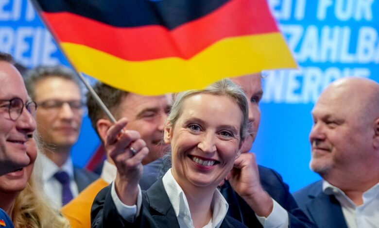 almanya afdnin alice weidel