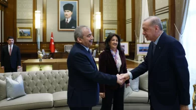 Cumhurbaşkanı Erdoğan, Sırrı Süreyya Önder'in sağlık durumu için Pervin Buldan ile görüştü.