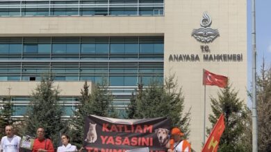 Anayasa Mahkemesi (AYM) Genel Kurulu, sahipsiz hayvanlarla ilgili Hayvanları Koruma Kanununda Değişiklik Yapılmasına Dair Kanunu’nun, iptali ve yürürlüğünün durdurulması istemini reddetti