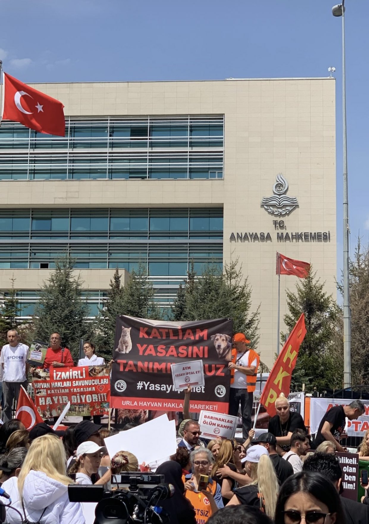 Anayasa Mahkemesi'nden hayvan severlere kötü haber 1 Anayasa Mahkemesi (AYM) Genel Kurulu, sahipsiz hayvanlarla ilgili Hayvanları Koruma Kanununda Değişiklik Yapılmasına Dair Kanunu’nun, iptali ve yürürlüğünün durdurulması istemini reddetti