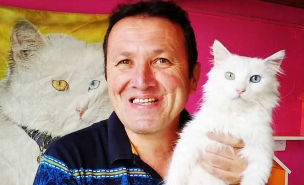 Van'ın sembolü Van Kedisi.