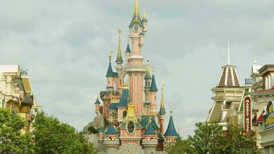 Fransa Paris'te bulunan Disneyland Paris’te hafta sonu düzenlenen özel bir etkinlik, sahte düğün şüphesiyle soruşturmaya dönüştü. Cumartesi