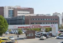 Danıştay Hakimi Ahmet Hamidi, bayram ziyareti için gittiği Mardin'de kaldığı otel odasında başından vurulmuş şekilde bulundu