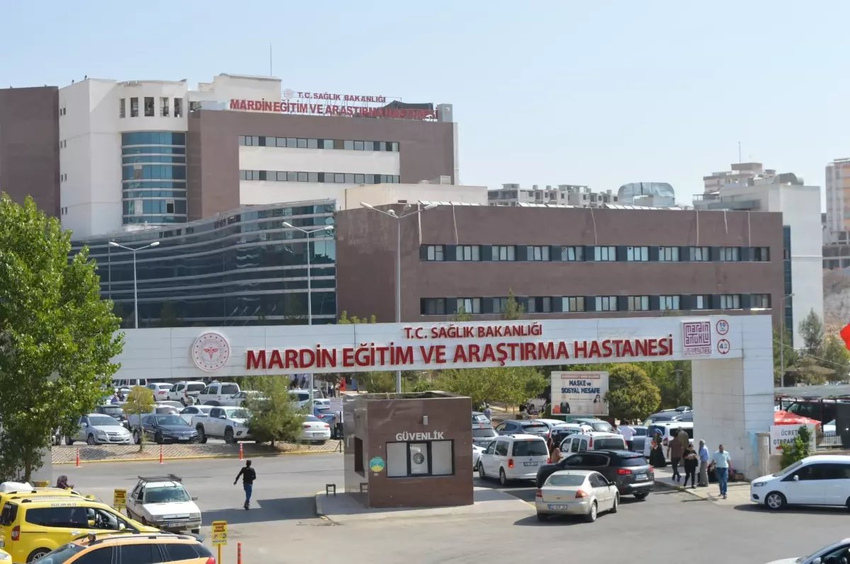 Danıştay Hakimi'nden intihar girişimi 1 Danıştay Hakimi Ahmet Hamidi, bayram ziyareti için gittiği Mardin'de kaldığı otel odasında başından vurulmuş şekilde bulundu