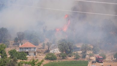 Türkiye'nin farklı illerinde orman yangınları bir kez daha alarm seviyesine ulaştı. Seferihisar'da yangın yerleşim yerlerine ulaştı.