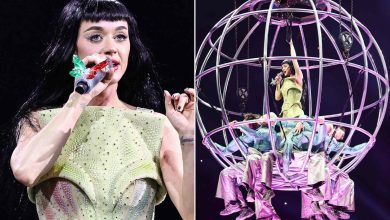 San Francisco’daki konserde sahneye yerleştirilen uçan kelebek platformu arızalanınca, Katy Perry birkaç metre havadan düştü