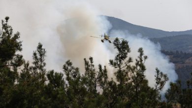 Bursa, Uşak, Mersin, Kahramanmaraş, Diyarbakır, Elazığ ve Antalya'da çıkan orman yangınlarıyla havadan ve karadan yoğun mücadele sürüyor.