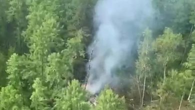 Rusya’nın Amur bölgesinde radardan kaybolan 49 kişilik Antonov-24 tipi uçak, Tynda yakınlarında ormanlık alanda yanmış halde bulundu.