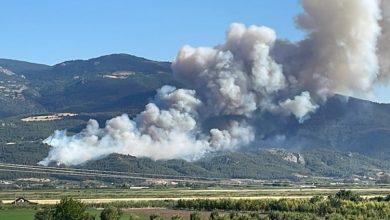 Sakarya'nın Geyve ilçesinde ormanlık alanda çıkan yangın rüzgarın etkisiyle hızla yayıldı.