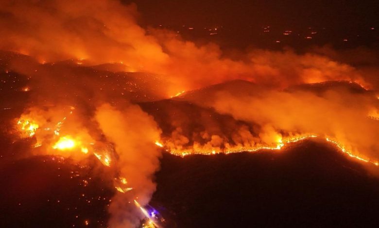 Sardinya Adası'nda orman yangını! Tahliye ediliyorlar 8 Avrupa’yı etkisi altına alan sıcak hava dalgası, orman yangınlarını da beraberinde getiriyor. Son olarak İtalya'nın Sardinya Adası'nda yangın çıktı