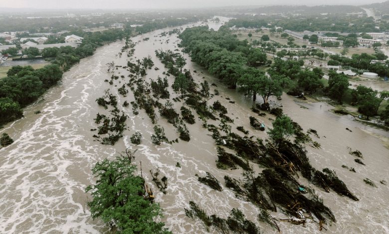 teksas sel olenlerin sayisi