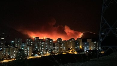 Tarım ve Orman Bakanı İbrahim Yumaklı, Türkiye'de 28'i ormanlık, 48'i kırsal alanda olmak üzere 76 yangınla mücadele ettiklerini belirtti