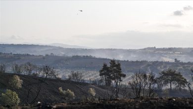 Tarım ve Orman Bakanı İbrahim Yumaklı, Çanakkale merkez ve Bayramiç’teki yangınların son durumuyla ilgili açıklama yaptı.