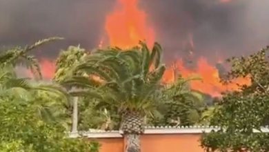İspanya'nın güneyindeki Cadiz kentine bağlı turistik bir belde olan Tarifa'da iki gündür devam eden orman yangınlarından dolayı 1500'den fazla kişi evlerinden ya da otellerden tahliye edildi