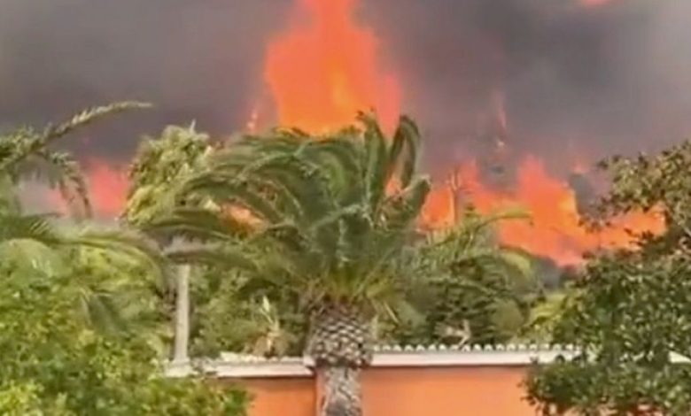 İspanya ve Portekiz'de orman yangını! 1 İspanya'nın güneyindeki Cadiz kentine bağlı turistik bir belde olan Tarifa'da iki gündür devam eden orman yangınlarından dolayı 1500'den fazla kişi evlerinden ya da otellerden tahliye edildi