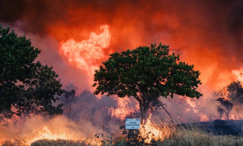 İspanya’da haftalardır süren ve dört kişinin yaşamını yitirmesine neden olan orman yangınları, büyük ölçüde kontrol altına alınmaya başladı.