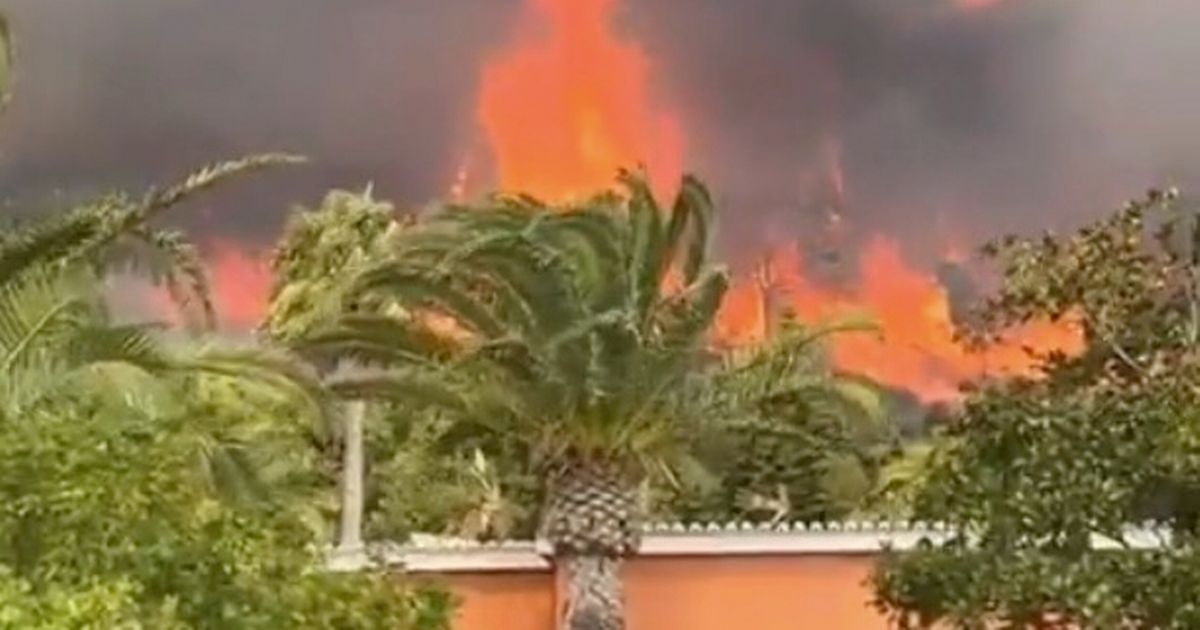 İspanya ve Portekiz'de orman yangını! 1 İspanya'nın güneyindeki Cadiz kentine bağlı turistik bir belde olan Tarifa'da iki gündür devam eden orman yangınlarından dolayı 1500'den fazla kişi evlerinden ya da otellerden tahliye edildi