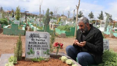15 Ekim 2024’te göl kıyısında cansız bedeni bulunan Rojin Kabaiş’in otopsisinde iki farklı erkeğe ait DNA bulundu
