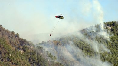 Köyceğiz’de alevlerle mücadele ikinci günde: 230 ev boşaltıldı 11 Muğla’nın Köyceğiz ilçesinde başlayan orman yangını rüzgarın etkisiyle büyüyor. 230 ev boşaltıldı.