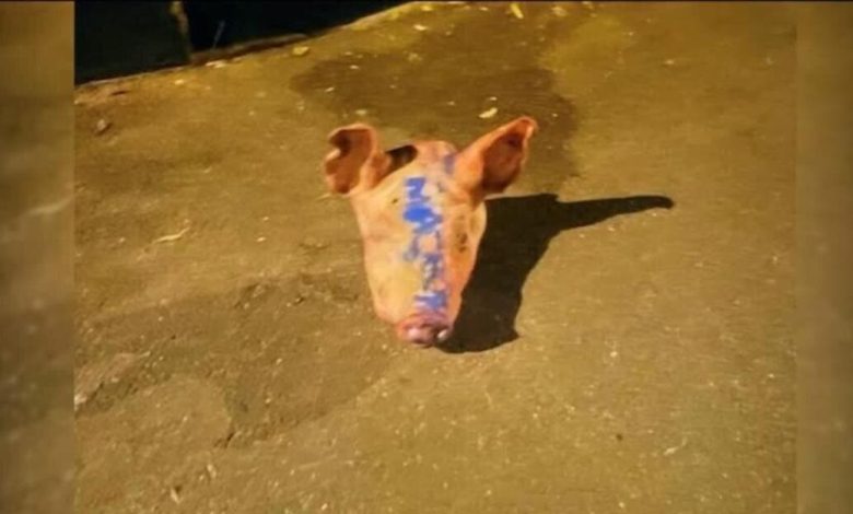 Fransa’nın başkenti Paris ve çevresinde dokuz caminin önünde domuz kafaları bulundu.