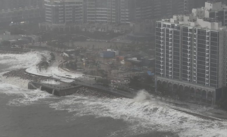 Ragasa tayfunu Çin kıyılarına ulaştı 4 Filipinler ve Tayvan’da can kayıplarına yol açan Tayfun Ragasa, Çin’in güneyindeki Guangdong eyaletine ulaştı.