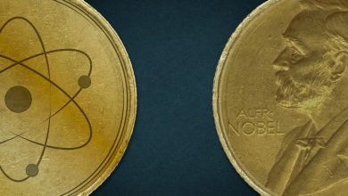 2025 Nobel Tıp Ödülü bağışıklık keşfine verildi 10 e 2025 Nobel Tıp Ödülü, bağışıklık sisteminin nasıl kontrol edildiğini ve otoimmün hastalıkların neden her insanda gelişmediğini açıklığa kavuşturan üç bilim insanına takdim edildi.