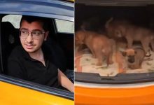 Ankara'da sahiplendiği köpeklere cinsel saldırıda bulunup öldüren sanık doktor Muhammet Mustafa Duman hakkında 9 yıl 9 ay hapis cezası verildi
