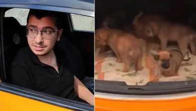 Köpekleri istismar edip öldüren doktora hapis cezası 20 Ankara'da sahiplendiği köpeklere cinsel saldırıda bulunup öldüren sanık doktor Muhammet Mustafa Duman hakkında 9 yıl 9 ay hapis cezası verildi
