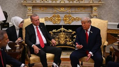 trumperdogan
