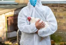 ABD’nin Washington eyaletinde bir kişi, insanlarda daha önce hiç görülmemiş H5N5 kuş gribi nedeniyle yaşamını yitirdi.