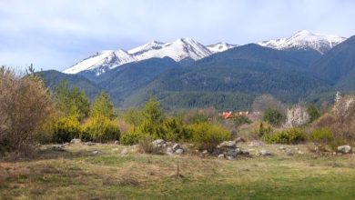 2013 yılında kaybolup resmi olarak ölü ilan edilen Boyan Ivanov, yıllar sonra Pirin Milli Parkı’nda çadırda yaşarken bulundu.