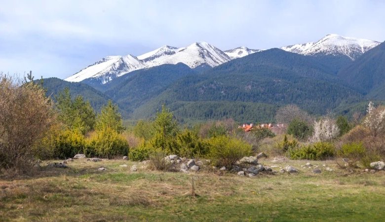 2013 yılında kaybolup resmi olarak ölü ilan edilen Boyan Ivanov, yıllar sonra Pirin Milli Parkı’nda çadırda yaşarken bulundu.