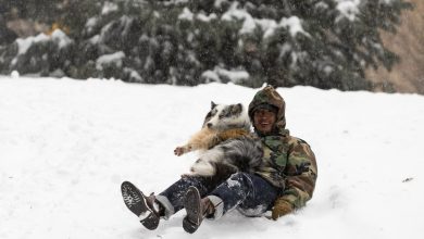ABD, başkan Donald Trump'ın işgal etmek istediği Grönland'ın kışını ülke çapında çok ağır şekilde yaşıyor