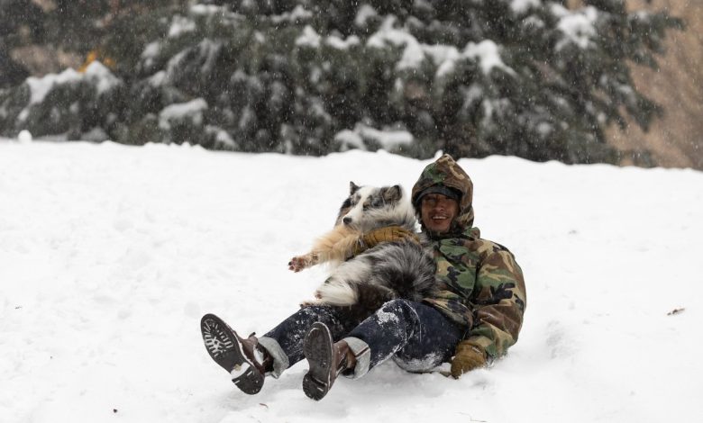 ABD, Grönland kışı yaşıyor! 3 ABD, başkan Donald Trump'ın işgal etmek istediği Grönland'ın kışını ülke çapında çok ağır şekilde yaşıyor